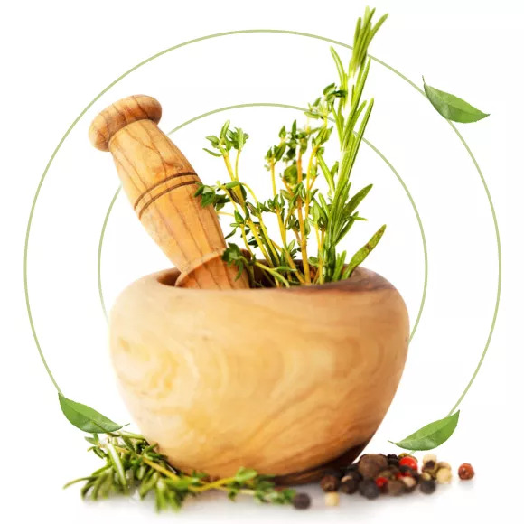 Premium ayurvedic clinics in PUNE